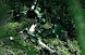 Trickstuff-Direttissima-Forest-Green-2026-Detail-0598-1920px_m.jpg