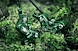 Trickstuff-Direttissima-Forest-Green-2026-Detail-0786-1920px_m.jpg